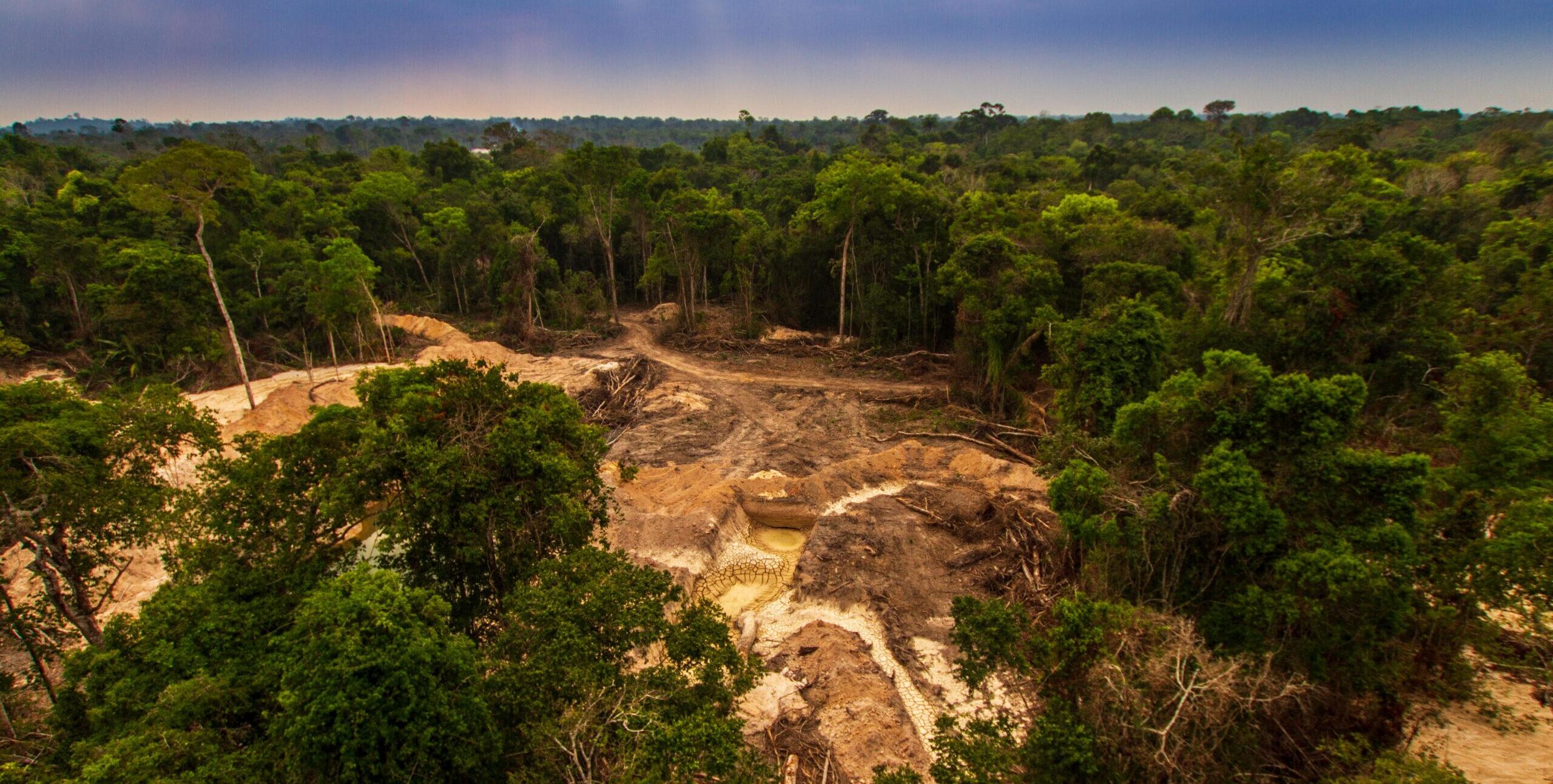 Vom ersten Gedanken zur Initiative: </br>Warum Bamboo Builds Future entstanden ist